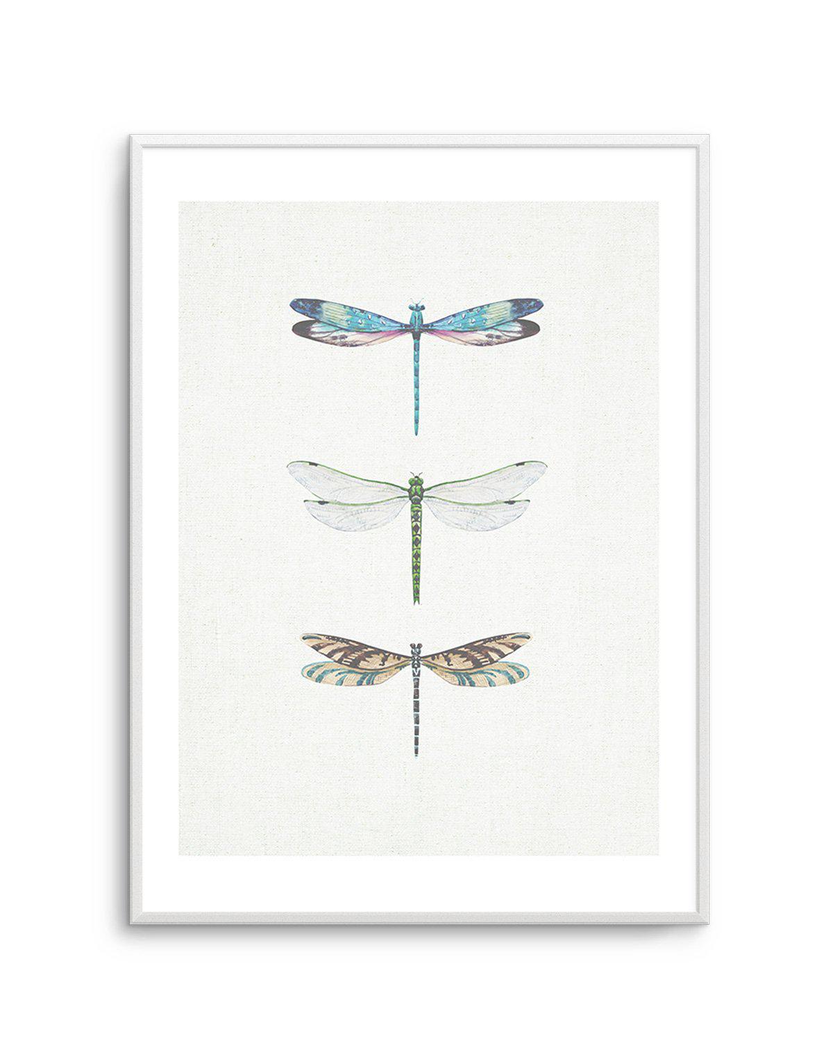 Dragonfly on Linen | PT Art Print-PRINT-Olive et Oriel-Olive et Oriel-A5 | 5.8" x 8.3" | 14.8 x 21cm-Unframed Art Print-With White Border-Buy-Australian-Art-Prints-Online-with-Olive-et-Oriel-Your-Artwork-Specialists-Austrailia-Decorate-With-Coastal-Photo-Wall-Art-Prints-From-Our-Beach-House-Artwork-Collection-Fine-Poster-and-Framed-Artwork