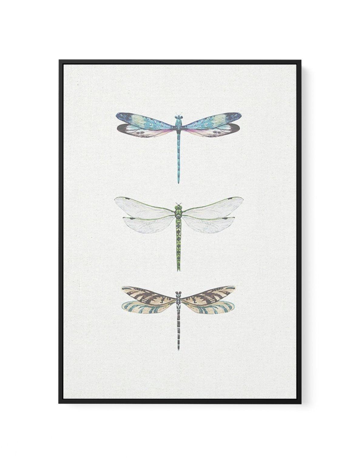 Dragonfly on Linen | PT | Framed Canvas-CANVAS-You can shop wall art online with Olive et Oriel for everything from abstract art to fun kids wall art. Our beautiful modern art prints and canvas art are available from large canvas prints to wall art paintings and our proudly Australian artwork collection offers only the highest quality framed large wall art and canvas art Australia - You can buy fashion photography prints or Hampton print posters and paintings on canvas from Olive et Oriel and ha