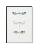 Dragonfly on Linen | PT | Framed Canvas-CANVAS-You can shop wall art online with Olive et Oriel for everything from abstract art to fun kids wall art. Our beautiful modern art prints and canvas art are available from large canvas prints to wall art paintings and our proudly Australian artwork collection offers only the highest quality framed large wall art and canvas art Australia - You can buy fashion photography prints or Hampton print posters and paintings on canvas from Olive et Oriel and ha