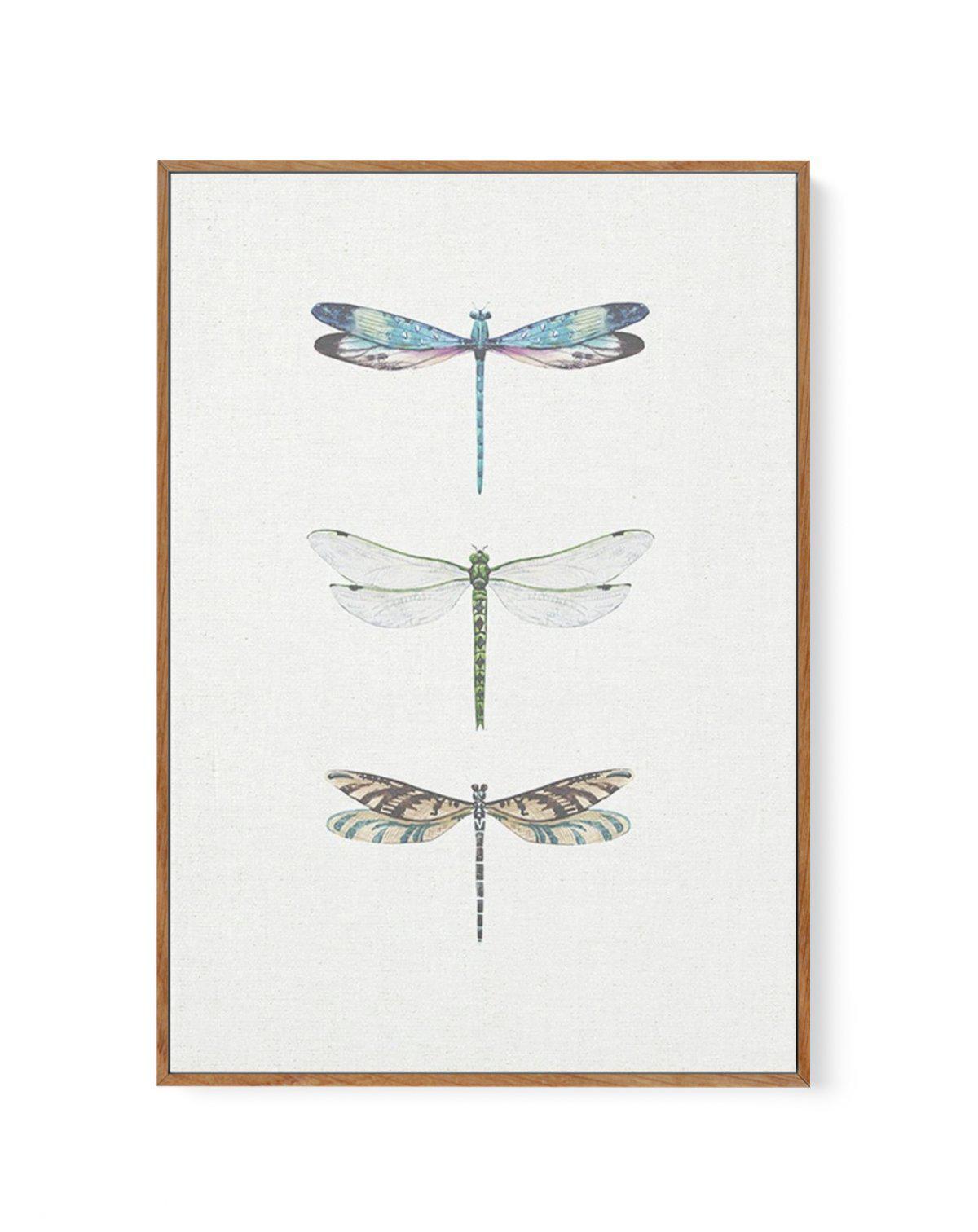 Dragonfly on Linen | PT | Framed Canvas-CANVAS-You can shop wall art online with Olive et Oriel for everything from abstract art to fun kids wall art. Our beautiful modern art prints and canvas art are available from large canvas prints to wall art paintings and our proudly Australian artwork collection offers only the highest quality framed large wall art and canvas art Australia - You can buy fashion photography prints or Hampton print posters and paintings on canvas from Olive et Oriel and ha