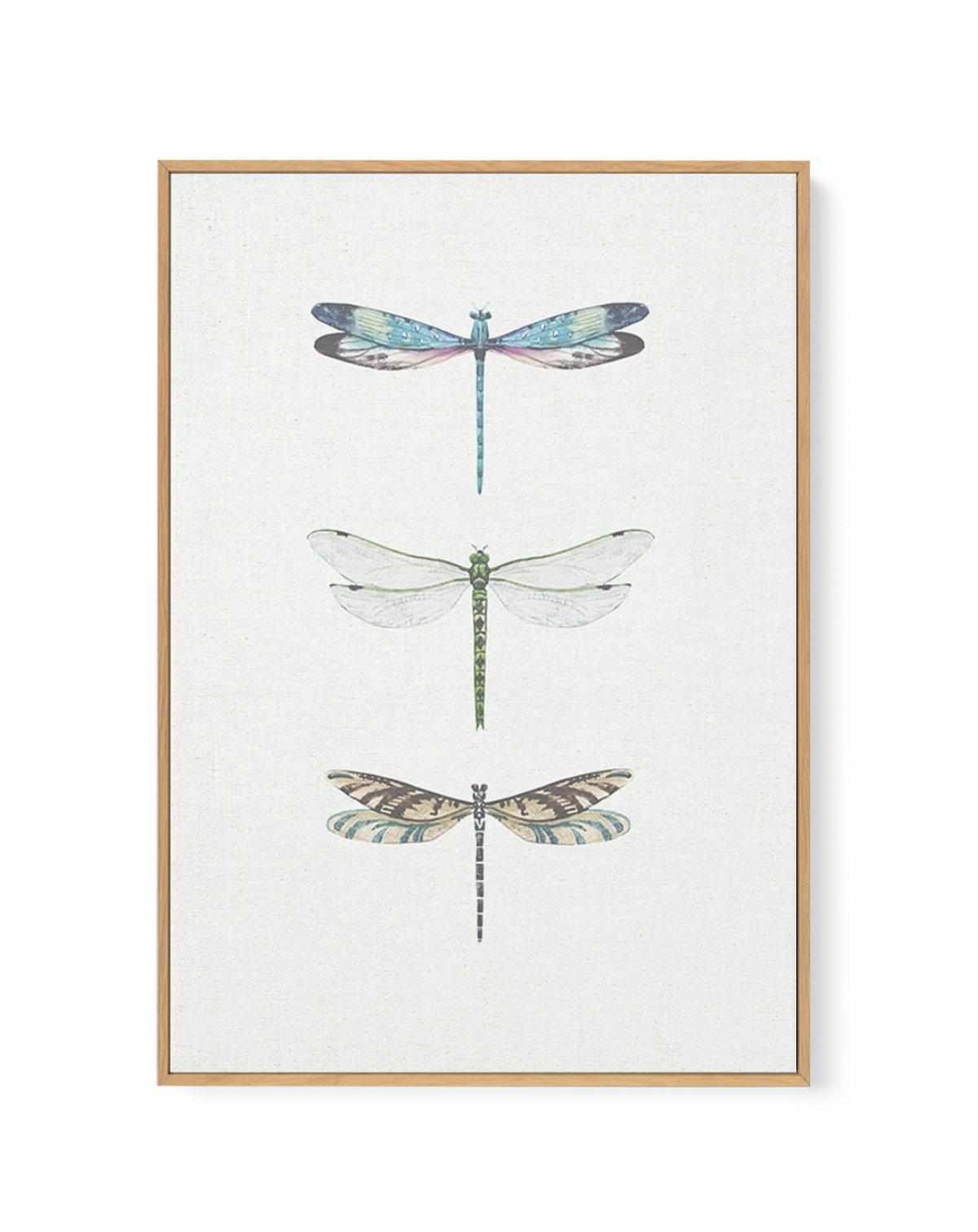 Dragonfly on Linen | PT | Framed Canvas Art Print