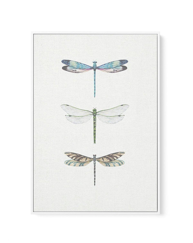 Dragonfly on Linen | PT | Framed Canvas-CANVAS-You can shop wall art online with Olive et Oriel for everything from abstract art to fun kids wall art. Our beautiful modern art prints and canvas art are available from large canvas prints to wall art paintings and our proudly Australian artwork collection offers only the highest quality framed large wall art and canvas art Australia - You can buy fashion photography prints or Hampton print posters and paintings on canvas from Olive et Oriel and ha