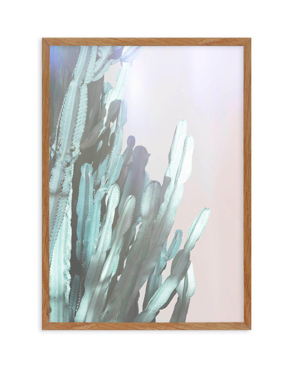 Dreamy Cactus I Art Print-PRINT-Olive et Oriel-Olive et Oriel-50x70 cm | 19.6" x 27.5"-Walnut-With White Border-Buy-Australian-Art-Prints-Online-with-Olive-et-Oriel-Your-Artwork-Specialists-Austrailia-Decorate-With-Coastal-Photo-Wall-Art-Prints-From-Our-Beach-House-Artwork-Collection-Fine-Poster-and-Framed-Artwork