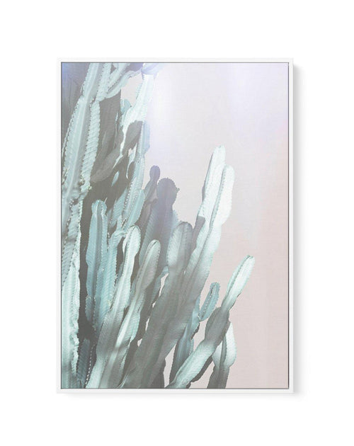 Dreamy Cactus I | Framed Canvas-CANVAS-You can shop wall art online with Olive et Oriel for everything from abstract art to fun kids wall art. Our beautiful modern art prints and canvas art are available from large canvas prints to wall art paintings and our proudly Australian artwork collection offers only the highest quality framed large wall art and canvas art Australia - You can buy fashion photography prints or Hampton print posters and paintings on canvas from Olive et Oriel and have them 