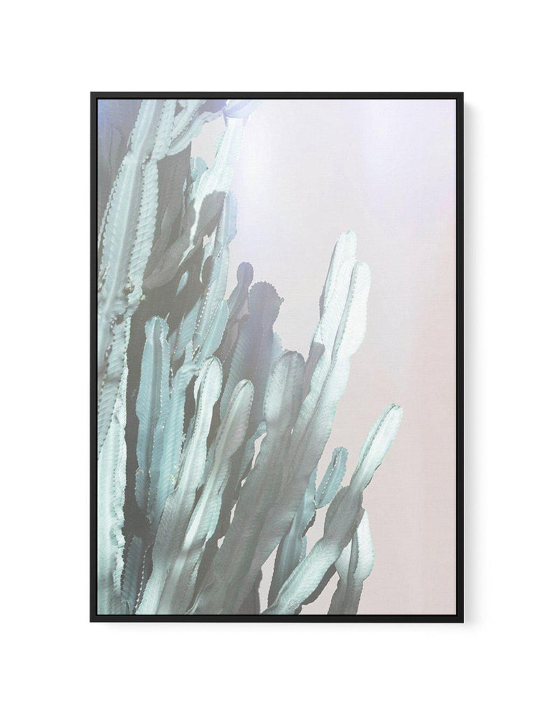 Dreamy Cactus I | Framed Canvas-CANVAS-You can shop wall art online with Olive et Oriel for everything from abstract art to fun kids wall art. Our beautiful modern art prints and canvas art are available from large canvas prints to wall art paintings and our proudly Australian artwork collection offers only the highest quality framed large wall art and canvas art Australia - You can buy fashion photography prints or Hampton print posters and paintings on canvas from Olive et Oriel and have them 