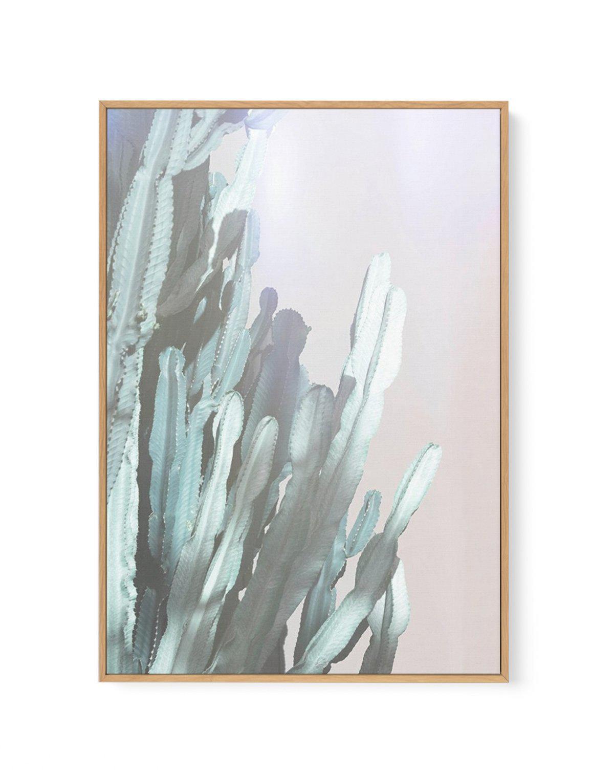 Dreamy Cactus I | Framed Canvas-CANVAS-You can shop wall art online with Olive et Oriel for everything from abstract art to fun kids wall art. Our beautiful modern art prints and canvas art are available from large canvas prints to wall art paintings and our proudly Australian artwork collection offers only the highest quality framed large wall art and canvas art Australia - You can buy fashion photography prints or Hampton print posters and paintings on canvas from Olive et Oriel and have them 