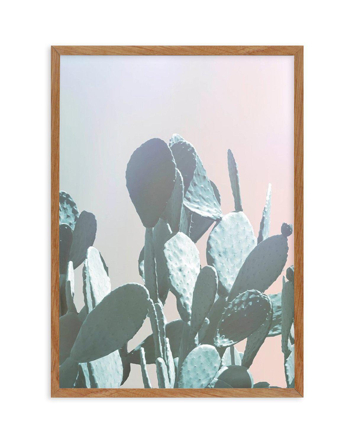 Dreamy Cactus II Art Print-PRINT-Olive et Oriel-Olive et Oriel-50x70 cm | 19.6" x 27.5"-Walnut-With White Border-Buy-Australian-Art-Prints-Online-with-Olive-et-Oriel-Your-Artwork-Specialists-Austrailia-Decorate-With-Coastal-Photo-Wall-Art-Prints-From-Our-Beach-House-Artwork-Collection-Fine-Poster-and-Framed-Artwork