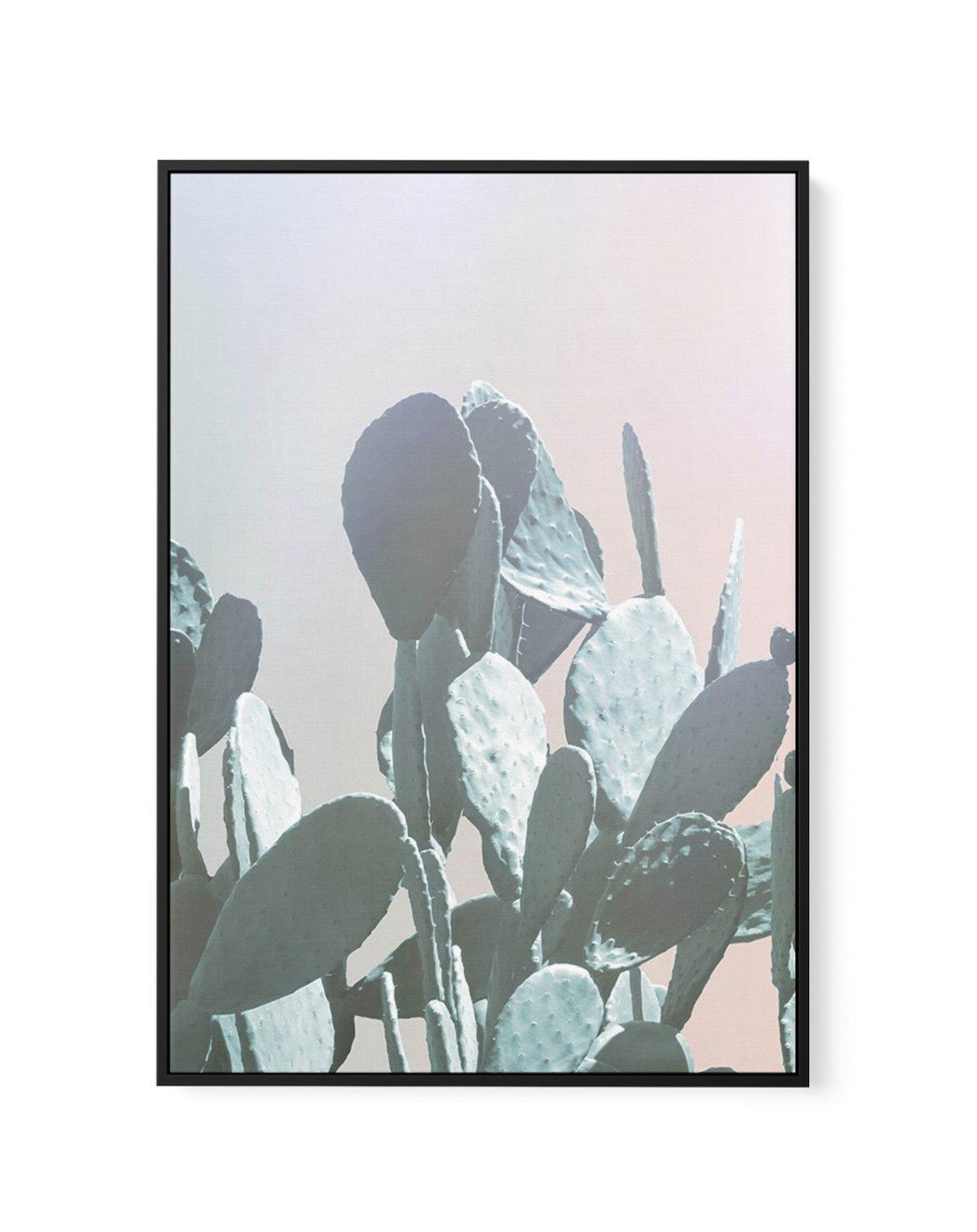 Dreamy Cactus II | Framed Canvas-CANVAS-You can shop wall art online with Olive et Oriel for everything from abstract art to fun kids wall art. Our beautiful modern art prints and canvas art are available from large canvas prints to wall art paintings and our proudly Australian artwork collection offers only the highest quality framed large wall art and canvas art Australia - You can buy fashion photography prints or Hampton print posters and paintings on canvas from Olive et Oriel and have them