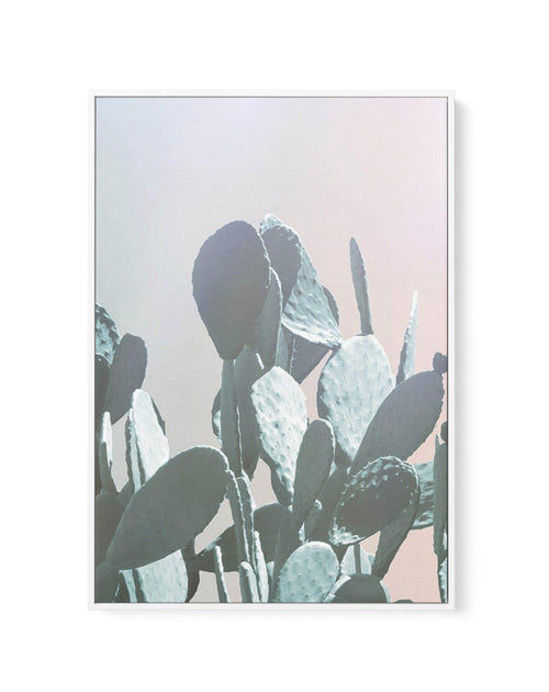 Dreamy Cactus II | Framed Canvas-CANVAS-You can shop wall art online with Olive et Oriel for everything from abstract art to fun kids wall art. Our beautiful modern art prints and canvas art are available from large canvas prints to wall art paintings and our proudly Australian artwork collection offers only the highest quality framed large wall art and canvas art Australia - You can buy fashion photography prints or Hampton print posters and paintings on canvas from Olive et Oriel and have them