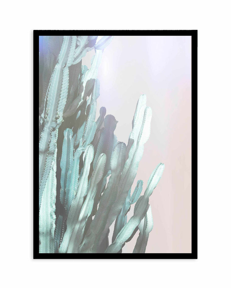 Dreamy Cactus I Art Print-PRINT-Olive et Oriel-Olive et Oriel-A4 | 8.3" x 11.7" | 21 x 29.7cm-Black-With White Border-Buy-Australian-Art-Prints-Online-with-Olive-et-Oriel-Your-Artwork-Specialists-Austrailia-Decorate-With-Coastal-Photo-Wall-Art-Prints-From-Our-Beach-House-Artwork-Collection-Fine-Poster-and-Framed-Artwork