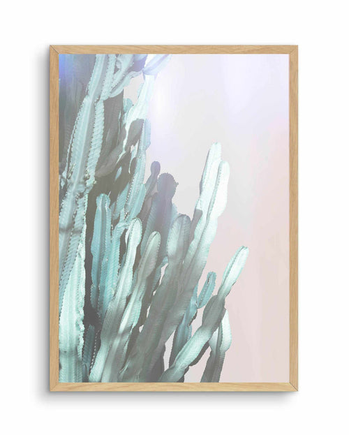 Dreamy Cactus I Art Print-PRINT-Olive et Oriel-Olive et Oriel-A4 | 8.3" x 11.7" | 21 x 29.7cm-Oak-With White Border-Buy-Australian-Art-Prints-Online-with-Olive-et-Oriel-Your-Artwork-Specialists-Austrailia-Decorate-With-Coastal-Photo-Wall-Art-Prints-From-Our-Beach-House-Artwork-Collection-Fine-Poster-and-Framed-Artwork