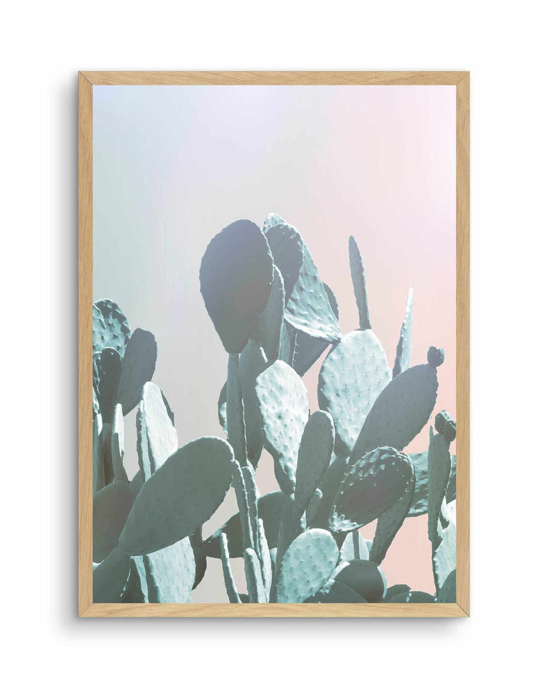 Dreamy Cactus II Art Print-PRINT-Olive et Oriel-Olive et Oriel-A4 | 8.3" x 11.7" | 21 x 29.7cm-Oak-With White Border-Buy-Australian-Art-Prints-Online-with-Olive-et-Oriel-Your-Artwork-Specialists-Austrailia-Decorate-With-Coastal-Photo-Wall-Art-Prints-From-Our-Beach-House-Artwork-Collection-Fine-Poster-and-Framed-Artwork