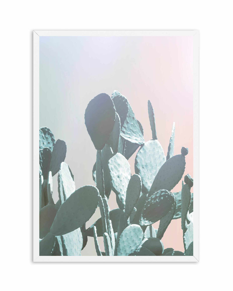 Dreamy Cactus II Art Print-PRINT-Olive et Oriel-Olive et Oriel-A4 | 8.3" x 11.7" | 21 x 29.7cm-White-With White Border-Buy-Australian-Art-Prints-Online-with-Olive-et-Oriel-Your-Artwork-Specialists-Austrailia-Decorate-With-Coastal-Photo-Wall-Art-Prints-From-Our-Beach-House-Artwork-Collection-Fine-Poster-and-Framed-Artwork