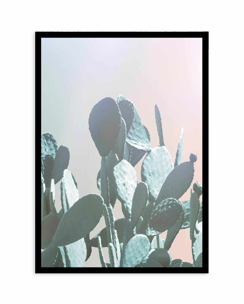 Dreamy Cactus II Art Print-PRINT-Olive et Oriel-Olive et Oriel-A4 | 8.3" x 11.7" | 21 x 29.7cm-Black-With White Border-Buy-Australian-Art-Prints-Online-with-Olive-et-Oriel-Your-Artwork-Specialists-Austrailia-Decorate-With-Coastal-Photo-Wall-Art-Prints-From-Our-Beach-House-Artwork-Collection-Fine-Poster-and-Framed-Artwork