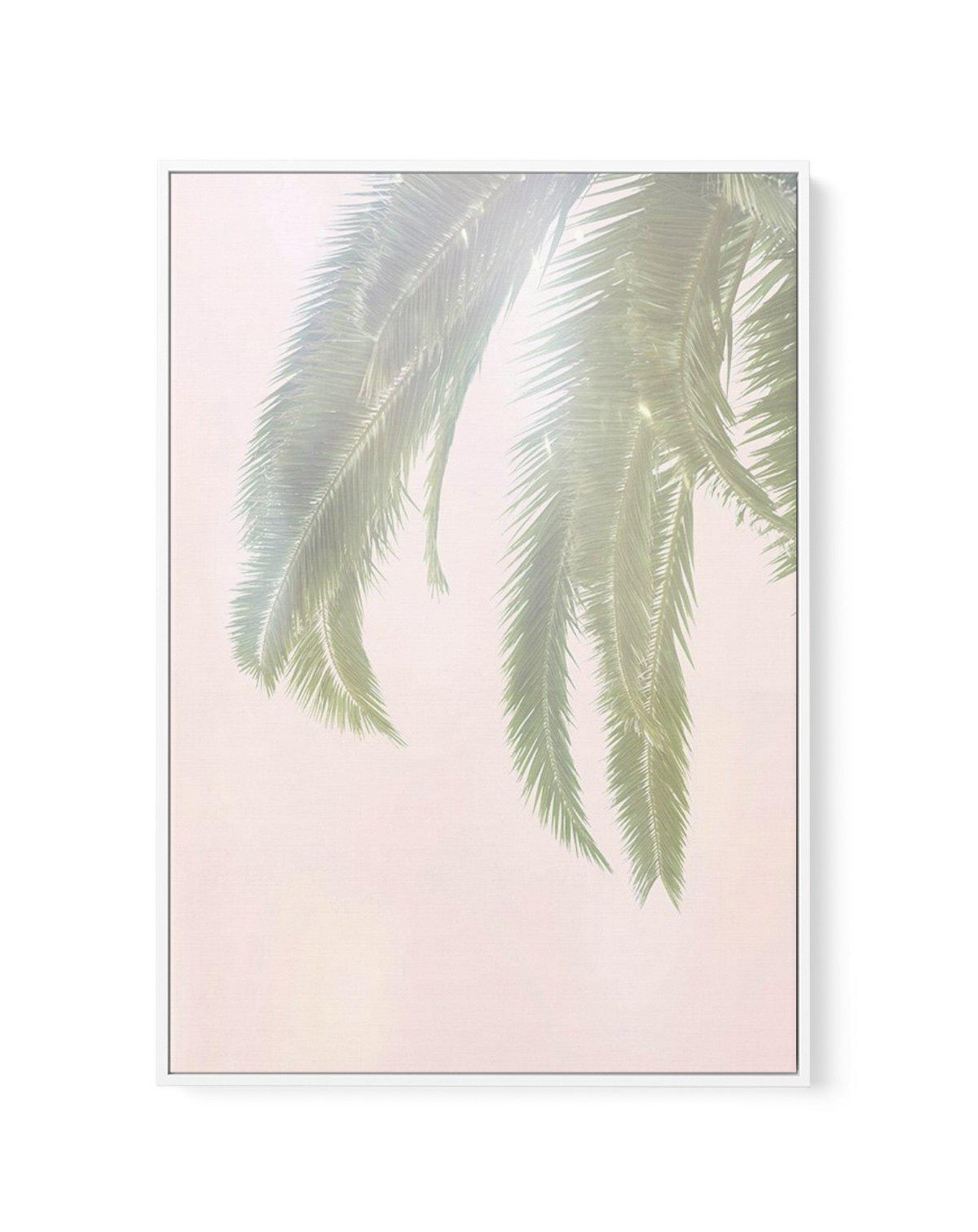 Dreamy Palms I | Framed Canvas-CANVAS-You can shop wall art online with Olive et Oriel for everything from abstract art to fun kids wall art. Our beautiful modern art prints and canvas art are available from large canvas prints to wall art paintings and our proudly Australian artwork collection offers only the highest quality framed large wall art and canvas art Australia - You can buy fashion photography prints or Hampton print posters and paintings on canvas from Olive et Oriel and have them d