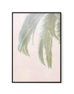 Dreamy Palms I | Framed Canvas-CANVAS-You can shop wall art online with Olive et Oriel for everything from abstract art to fun kids wall art. Our beautiful modern art prints and canvas art are available from large canvas prints to wall art paintings and our proudly Australian artwork collection offers only the highest quality framed large wall art and canvas art Australia - You can buy fashion photography prints or Hampton print posters and paintings on canvas from Olive et Oriel and have them d