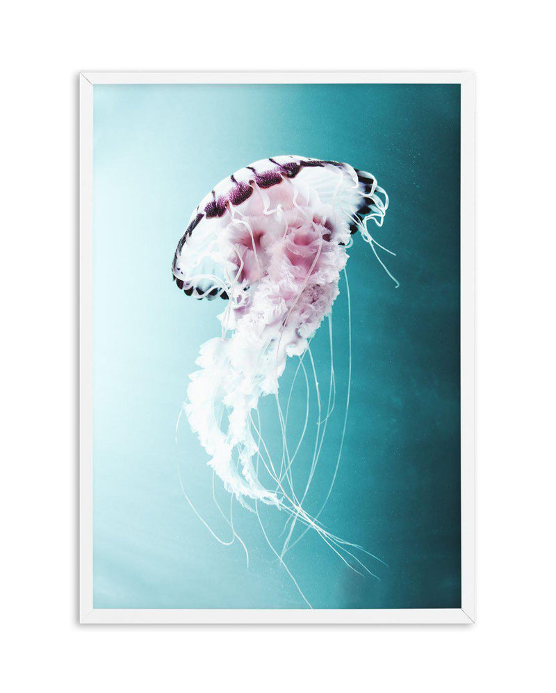 Drifting Jellyfish Art Print-PRINT-Olive et Oriel-Olive et Oriel-A5 | 5.8" x 8.3" | 14.8 x 21cm-White-With White Border-Buy-Australian-Art-Prints-Online-with-Olive-et-Oriel-Your-Artwork-Specialists-Austrailia-Decorate-With-Coastal-Photo-Wall-Art-Prints-From-Our-Beach-House-Artwork-Collection-Fine-Poster-and-Framed-Artwork