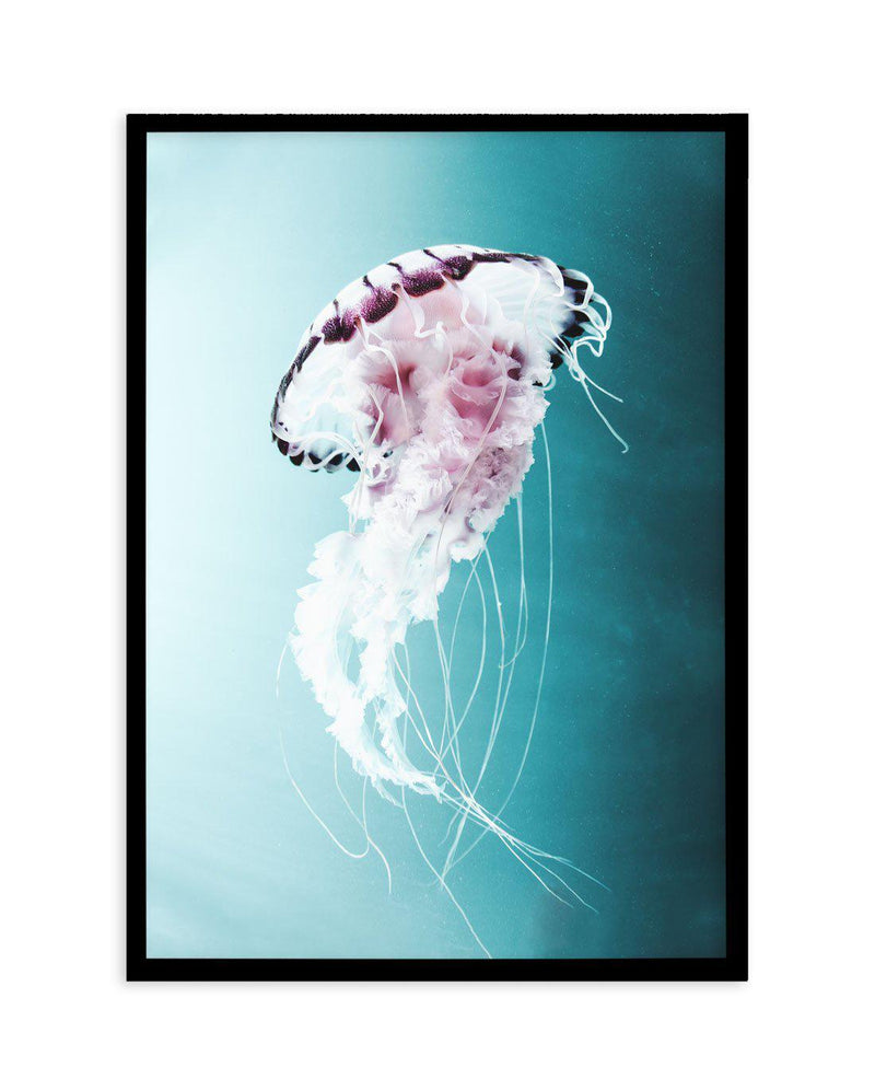Drifting Jellyfish Art Print-PRINT-Olive et Oriel-Olive et Oriel-A5 | 5.8" x 8.3" | 14.8 x 21cm-Black-With White Border-Buy-Australian-Art-Prints-Online-with-Olive-et-Oriel-Your-Artwork-Specialists-Austrailia-Decorate-With-Coastal-Photo-Wall-Art-Prints-From-Our-Beach-House-Artwork-Collection-Fine-Poster-and-Framed-Artwork