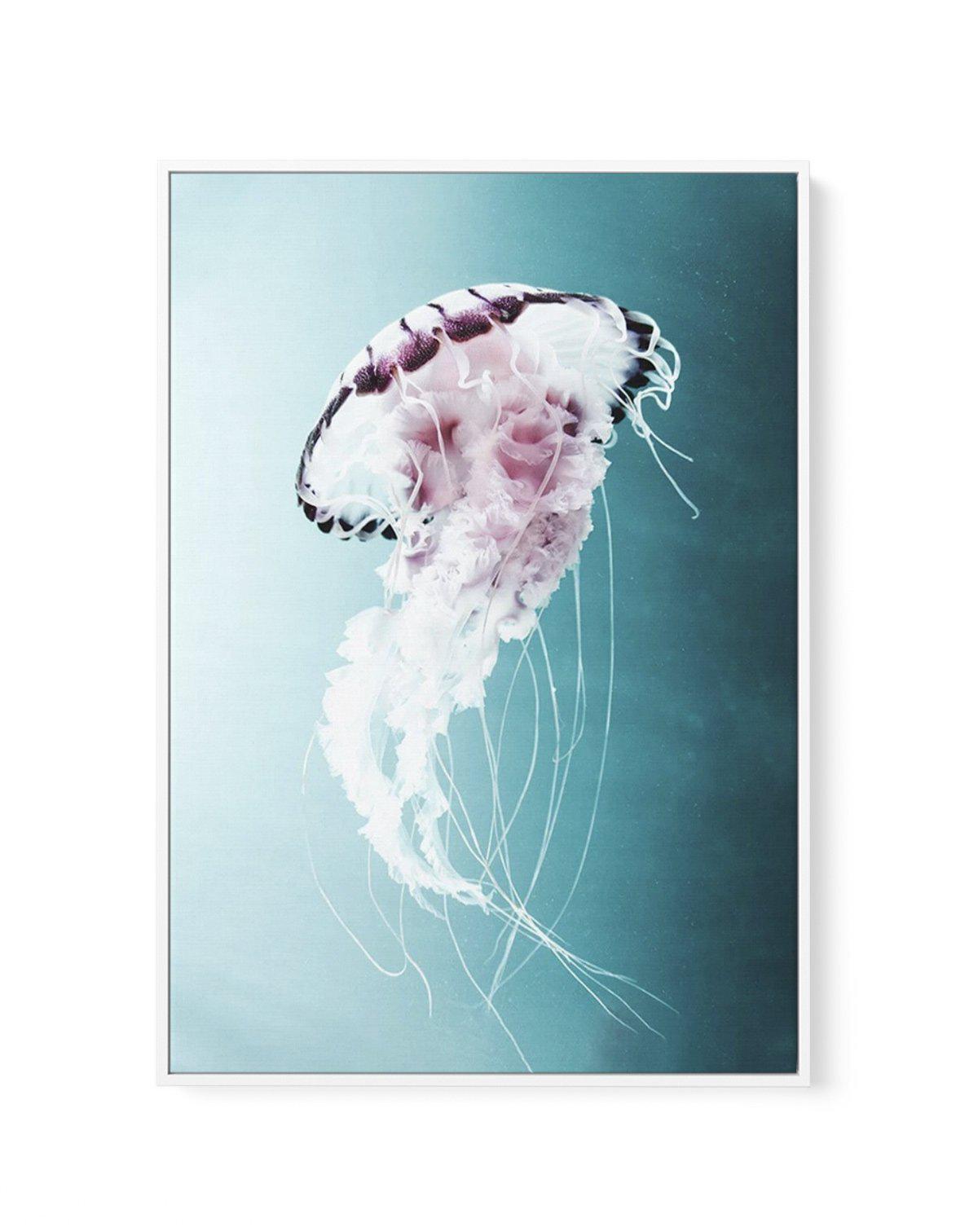 Drifting Jellyfish | Framed Canvas-CANVAS-You can shop wall art online with Olive et Oriel for everything from abstract art to fun kids wall art. Our beautiful modern art prints and canvas art are available from large canvas prints to wall art paintings and our proudly Australian artwork collection offers only the highest quality framed large wall art and canvas art Australia - You can buy fashion photography prints or Hampton print posters and paintings on canvas from Olive et Oriel and have th