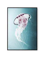 Drifting Jellyfish | Framed Canvas-CANVAS-You can shop wall art online with Olive et Oriel for everything from abstract art to fun kids wall art. Our beautiful modern art prints and canvas art are available from large canvas prints to wall art paintings and our proudly Australian artwork collection offers only the highest quality framed large wall art and canvas art Australia - You can buy fashion photography prints or Hampton print posters and paintings on canvas from Olive et Oriel and have th