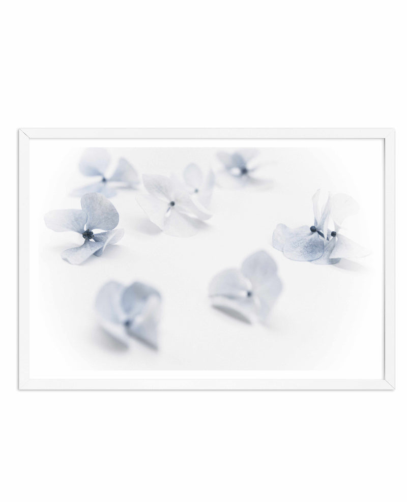 Droplets | Hydrangea I Art Print-PRINT-Olive et Oriel-Olive et Oriel-A4 | 8.3" x 11.7" | 21 x 29.7cm-White-With White Border-Buy-Australian-Art-Prints-Online-with-Olive-et-Oriel-Your-Artwork-Specialists-Austrailia-Decorate-With-Coastal-Photo-Wall-Art-Prints-From-Our-Beach-House-Artwork-Collection-Fine-Poster-and-Framed-Artwork