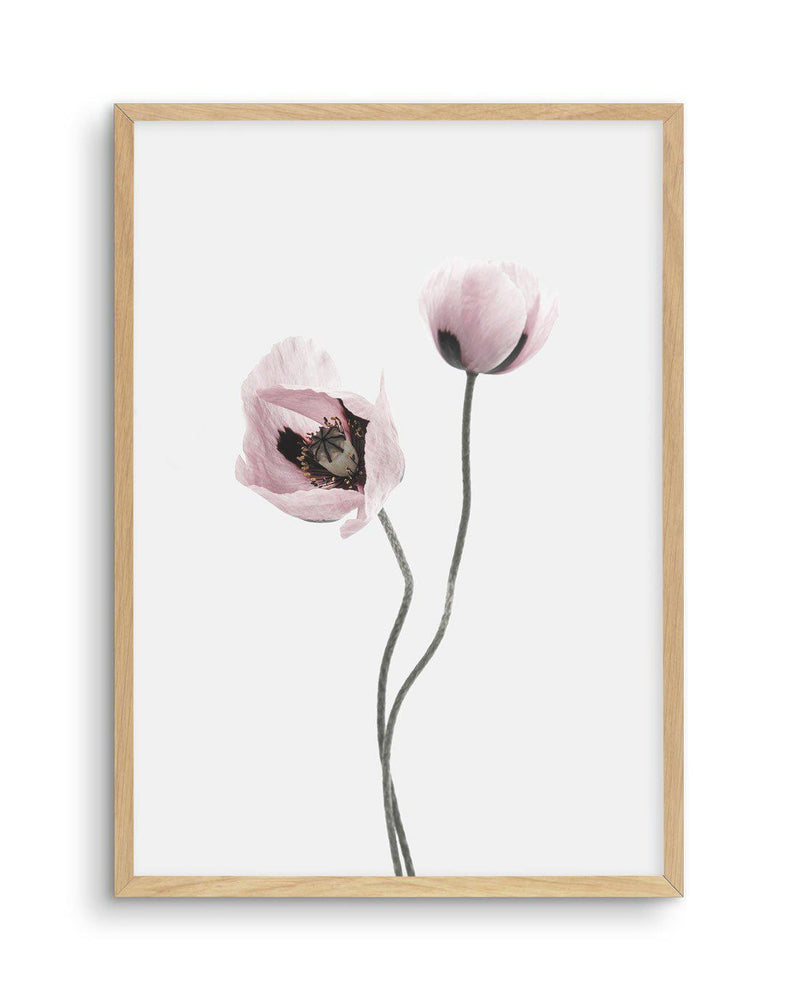 Duex Poppy I Art Print-PRINT-Olive et Oriel-Olive et Oriel-A4 | 8.3" x 11.7" | 21 x 29.7cm-Oak-With White Border-Buy-Australian-Art-Prints-Online-with-Olive-et-Oriel-Your-Artwork-Specialists-Austrailia-Decorate-With-Coastal-Photo-Wall-Art-Prints-From-Our-Beach-House-Artwork-Collection-Fine-Poster-and-Framed-Artwork