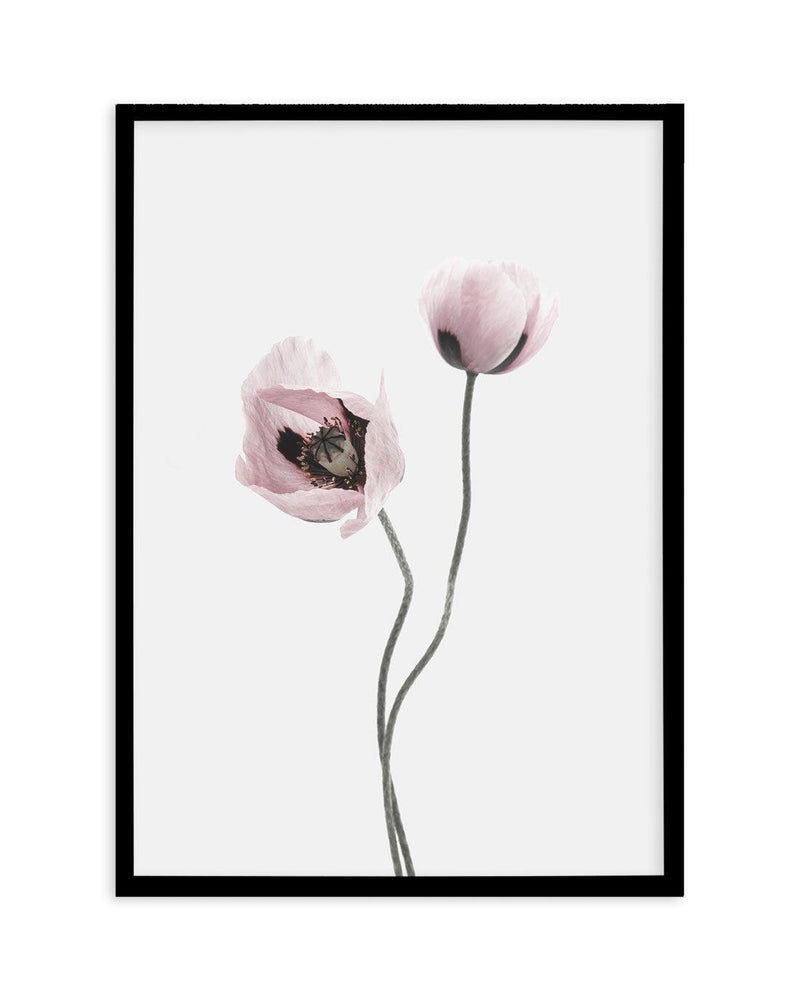 Duex Poppy I Art Print-PRINT-Olive et Oriel-Olive et Oriel-A4 | 8.3" x 11.7" | 21 x 29.7cm-Black-With White Border-Buy-Australian-Art-Prints-Online-with-Olive-et-Oriel-Your-Artwork-Specialists-Austrailia-Decorate-With-Coastal-Photo-Wall-Art-Prints-From-Our-Beach-House-Artwork-Collection-Fine-Poster-and-Framed-Artwork