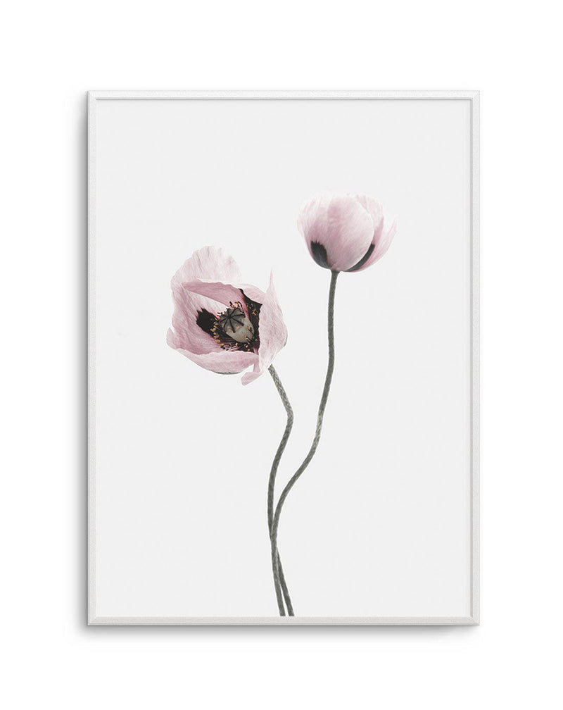 Duex Poppy I Art Print-PRINT-Olive et Oriel-Olive et Oriel-A4 | 8.3" x 11.7" | 21 x 29.7cm-Unframed Art Print-With White Border-Buy-Australian-Art-Prints-Online-with-Olive-et-Oriel-Your-Artwork-Specialists-Austrailia-Decorate-With-Coastal-Photo-Wall-Art-Prints-From-Our-Beach-House-Artwork-Collection-Fine-Poster-and-Framed-Artwork