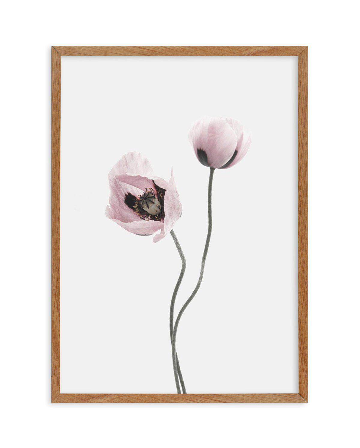 Duex Poppy I Art Print-PRINT-Olive et Oriel-Olive et Oriel-50x70 cm | 19.6" x 27.5"-Walnut-With White Border-Buy-Australian-Art-Prints-Online-with-Olive-et-Oriel-Your-Artwork-Specialists-Austrailia-Decorate-With-Coastal-Photo-Wall-Art-Prints-From-Our-Beach-House-Artwork-Collection-Fine-Poster-and-Framed-Artwork