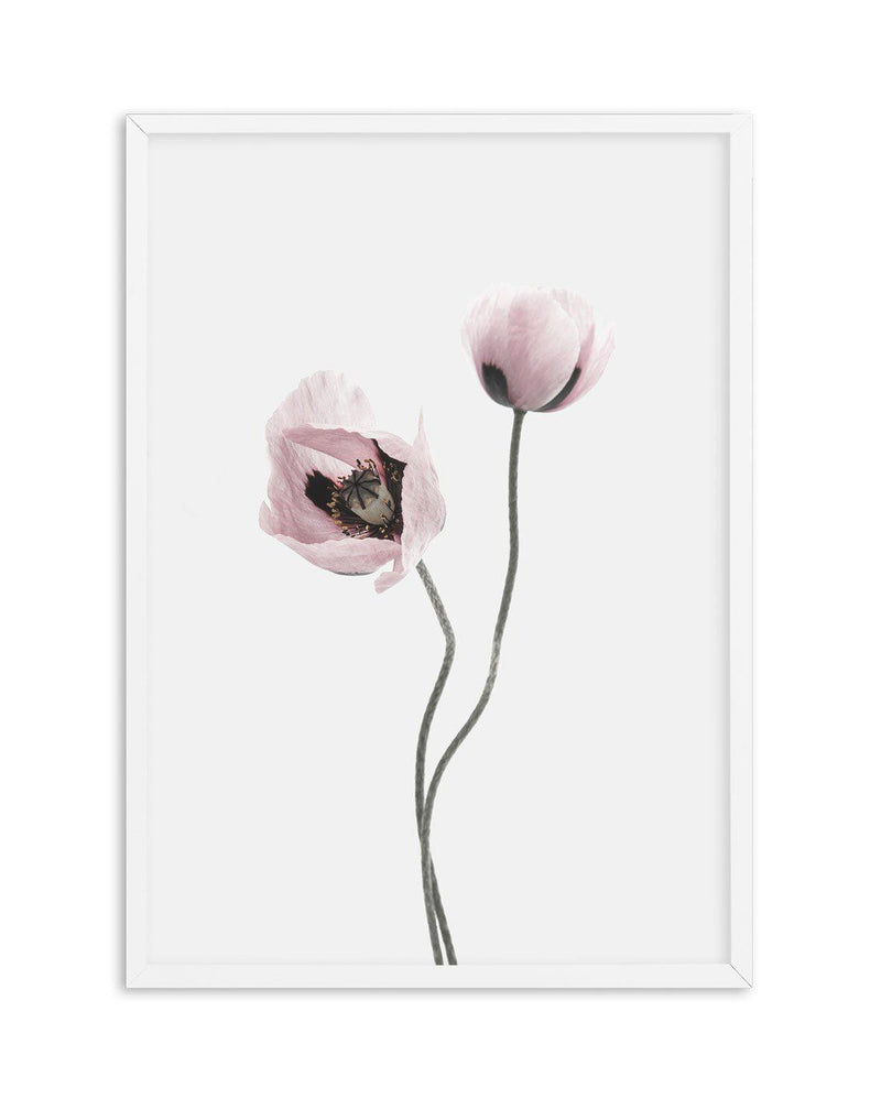 Duex Poppy I Art Print-PRINT-Olive et Oriel-Olive et Oriel-A4 | 8.3" x 11.7" | 21 x 29.7cm-White-With White Border-Buy-Australian-Art-Prints-Online-with-Olive-et-Oriel-Your-Artwork-Specialists-Austrailia-Decorate-With-Coastal-Photo-Wall-Art-Prints-From-Our-Beach-House-Artwork-Collection-Fine-Poster-and-Framed-Artwork