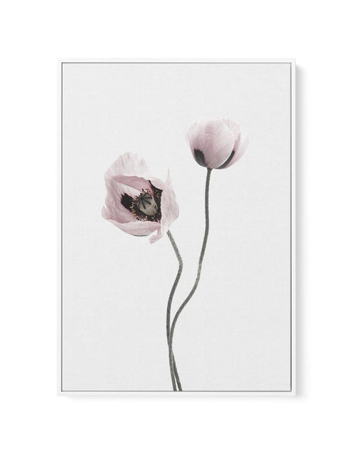 Duex Poppy I | Framed Canvas-CANVAS-You can shop wall art online with Olive et Oriel for everything from abstract art to fun kids wall art. Our beautiful modern art prints and canvas art are available from large canvas prints to wall art paintings and our proudly Australian artwork collection offers only the highest quality framed large wall art and canvas art Australia - You can buy fashion photography prints or Hampton print posters and paintings on canvas from Olive et Oriel and have them del