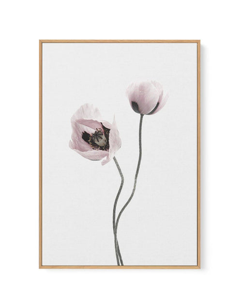 Duex Poppy I | Framed Canvas-CANVAS-You can shop wall art online with Olive et Oriel for everything from abstract art to fun kids wall art. Our beautiful modern art prints and canvas art are available from large canvas prints to wall art paintings and our proudly Australian artwork collection offers only the highest quality framed large wall art and canvas art Australia - You can buy fashion photography prints or Hampton print posters and paintings on canvas from Olive et Oriel and have them del