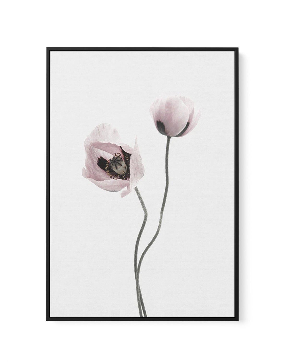 Duex Poppy I | Framed Canvas-CANVAS-You can shop wall art online with Olive et Oriel for everything from abstract art to fun kids wall art. Our beautiful modern art prints and canvas art are available from large canvas prints to wall art paintings and our proudly Australian artwork collection offers only the highest quality framed large wall art and canvas art Australia - You can buy fashion photography prints or Hampton print posters and paintings on canvas from Olive et Oriel and have them del