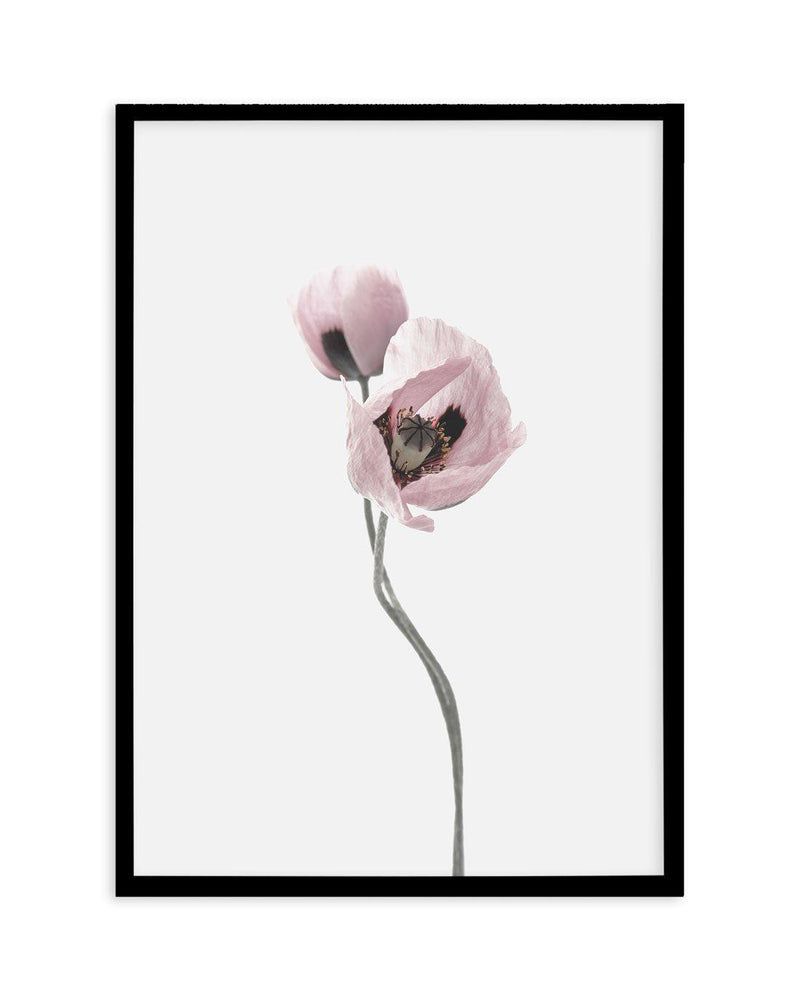 Duex Poppy II Art Print-PRINT-Olive et Oriel-Olive et Oriel-A4 | 8.3" x 11.7" | 21 x 29.7cm-Black-With White Border-Buy-Australian-Art-Prints-Online-with-Olive-et-Oriel-Your-Artwork-Specialists-Austrailia-Decorate-With-Coastal-Photo-Wall-Art-Prints-From-Our-Beach-House-Artwork-Collection-Fine-Poster-and-Framed-Artwork