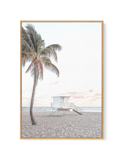 Dusk at Palm Cove | Framed Canvas-CANVAS-You can shop wall art online with Olive et Oriel for everything from abstract art to fun kids wall art. Our beautiful modern art prints and canvas art are available from large canvas prints to wall art paintings and our proudly Australian artwork collection offers only the highest quality framed large wall art and canvas art Australia - You can buy fashion photography prints or Hampton print posters and paintings on canvas from Olive et Oriel and have the