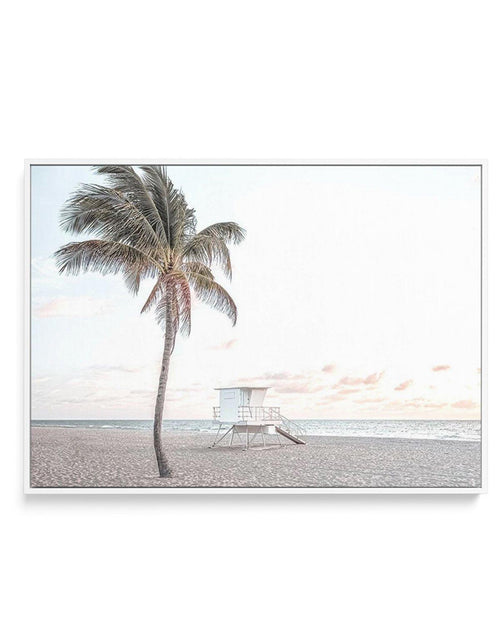 Dusk at Palm Cove | LS | Framed Canvas-CANVAS-You can shop wall art online with Olive et Oriel for everything from abstract art to fun kids wall art. Our beautiful modern art prints and canvas art are available from large canvas prints to wall art paintings and our proudly Australian artwork collection offers only the highest quality framed large wall art and canvas art Australia - You can buy fashion photography prints or Hampton print posters and paintings on canvas from Olive et Oriel and hav
