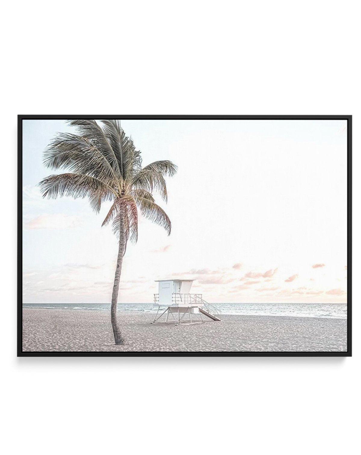 Dusk at Palm Cove | LS | Framed Canvas-CANVAS-You can shop wall art online with Olive et Oriel for everything from abstract art to fun kids wall art. Our beautiful modern art prints and canvas art are available from large canvas prints to wall art paintings and our proudly Australian artwork collection offers only the highest quality framed large wall art and canvas art Australia - You can buy fashion photography prints or Hampton print posters and paintings on canvas from Olive et Oriel and hav