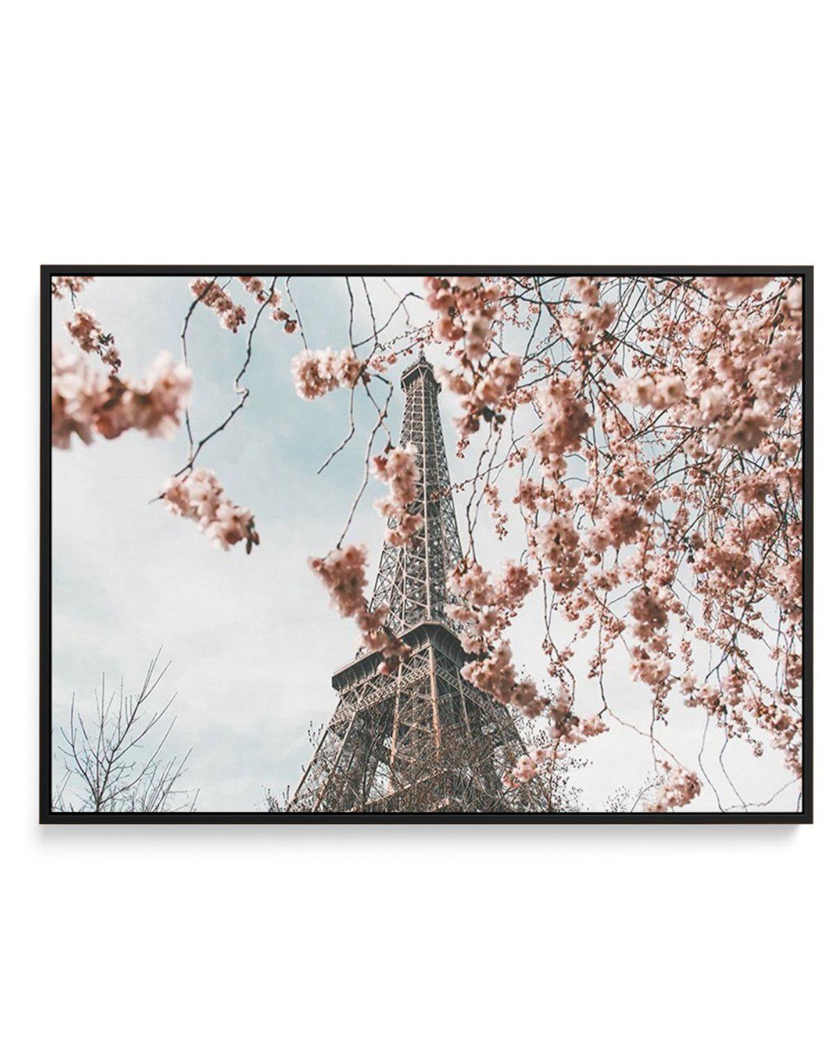 Eiffel Tower | Spring | Framed Canvas-CANVAS-You can shop wall art online with Olive et Oriel for everything from abstract art to fun kids wall art. Our beautiful modern art prints and canvas art are available from large canvas prints to wall art paintings and our proudly Australian artwork collection offers only the highest quality framed large wall art and canvas art Australia - You can buy fashion photography prints or Hampton print posters and paintings on canvas from Olive et Oriel and have