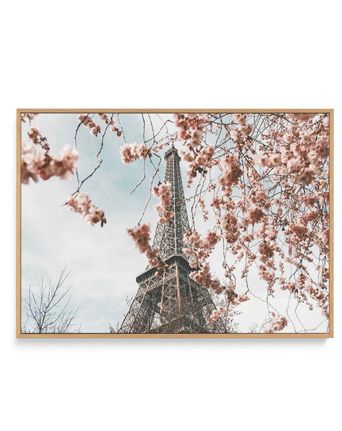Eiffel Tower | Spring | Framed Canvas-CANVAS-You can shop wall art online with Olive et Oriel for everything from abstract art to fun kids wall art. Our beautiful modern art prints and canvas art are available from large canvas prints to wall art paintings and our proudly Australian artwork collection offers only the highest quality framed large wall art and canvas art Australia - You can buy fashion photography prints or Hampton print posters and paintings on canvas from Olive et Oriel and have