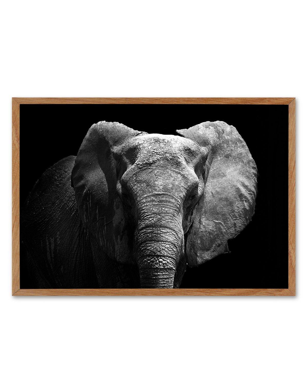 Elephant De Nuit | LS Art Print-PRINT-Olive et Oriel-Olive et Oriel-50x70 cm | 19.6" x 27.5"-Walnut-With White Border-Buy-Australian-Art-Prints-Online-with-Olive-et-Oriel-Your-Artwork-Specialists-Austrailia-Decorate-With-Coastal-Photo-Wall-Art-Prints-From-Our-Beach-House-Artwork-Collection-Fine-Poster-and-Framed-Artwork