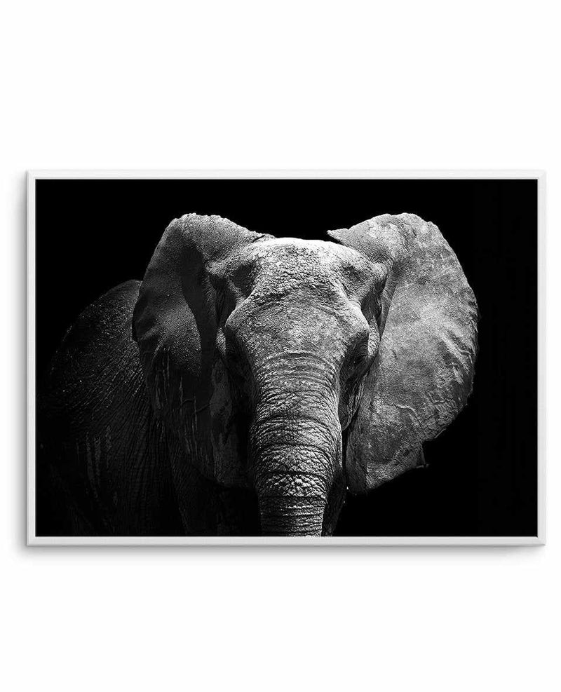 Elephant De Nuit | LS Art Print-PRINT-Olive et Oriel-Olive et Oriel-A5 | 5.8" x 8.3" | 14.8 x 21cm-Unframed Art Print-With White Border-Buy-Australian-Art-Prints-Online-with-Olive-et-Oriel-Your-Artwork-Specialists-Austrailia-Decorate-With-Coastal-Photo-Wall-Art-Prints-From-Our-Beach-House-Artwork-Collection-Fine-Poster-and-Framed-Artwork