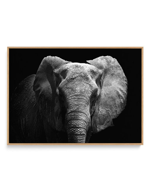 Elephant De Nuit | LS | Framed Canvas-CANVAS-You can shop wall art online with Olive et Oriel for everything from abstract art to fun kids wall art. Our beautiful modern art prints and canvas art are available from large canvas prints to wall art paintings and our proudly Australian artwork collection offers only the highest quality framed large wall art and canvas art Australia - You can buy fashion photography prints or Hampton print posters and paintings on canvas from Olive et Oriel and have