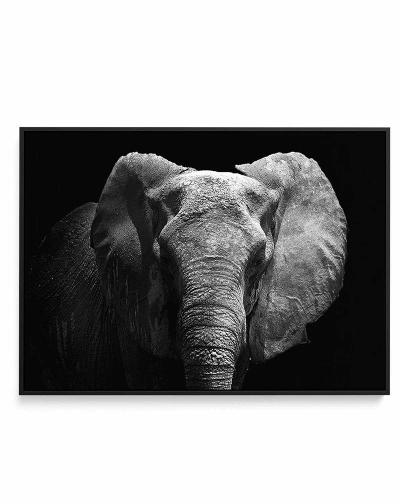Elephant De Nuit | LS | Framed Canvas-CANVAS-You can shop wall art online with Olive et Oriel for everything from abstract art to fun kids wall art. Our beautiful modern art prints and canvas art are available from large canvas prints to wall art paintings and our proudly Australian artwork collection offers only the highest quality framed large wall art and canvas art Australia - You can buy fashion photography prints or Hampton print posters and paintings on canvas from Olive et Oriel and have