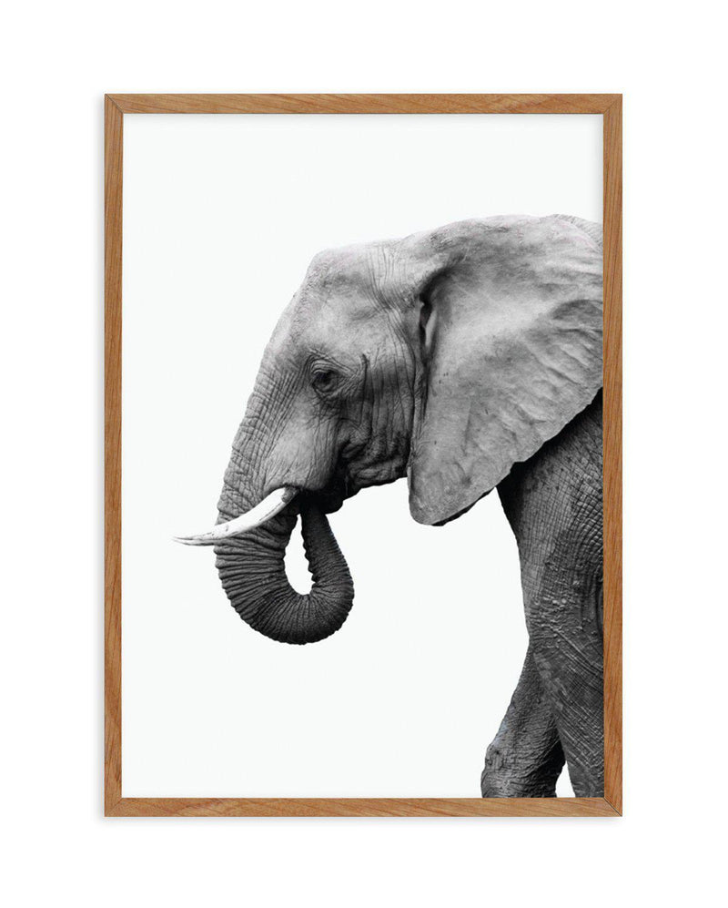 Elephant I Art Print-PRINT-Olive et Oriel-Olive et Oriel-50x70 cm | 19.6" x 27.5"-Walnut-With White Border-Buy-Australian-Art-Prints-Online-with-Olive-et-Oriel-Your-Artwork-Specialists-Austrailia-Decorate-With-Coastal-Photo-Wall-Art-Prints-From-Our-Beach-House-Artwork-Collection-Fine-Poster-and-Framed-Artwork