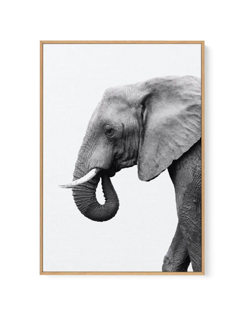 Elephant I | Framed Canvas-CANVAS-You can shop wall art online with Olive et Oriel for everything from abstract art to fun kids wall art. Our beautiful modern art prints and canvas art are available from large canvas prints to wall art paintings and our proudly Australian artwork collection offers only the highest quality framed large wall art and canvas art Australia - You can buy fashion photography prints or Hampton print posters and paintings on canvas from Olive et Oriel and have them deliv