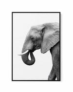 Elephant I | Framed Canvas-CANVAS-You can shop wall art online with Olive et Oriel for everything from abstract art to fun kids wall art. Our beautiful modern art prints and canvas art are available from large canvas prints to wall art paintings and our proudly Australian artwork collection offers only the highest quality framed large wall art and canvas art Australia - You can buy fashion photography prints or Hampton print posters and paintings on canvas from Olive et Oriel and have them deliv