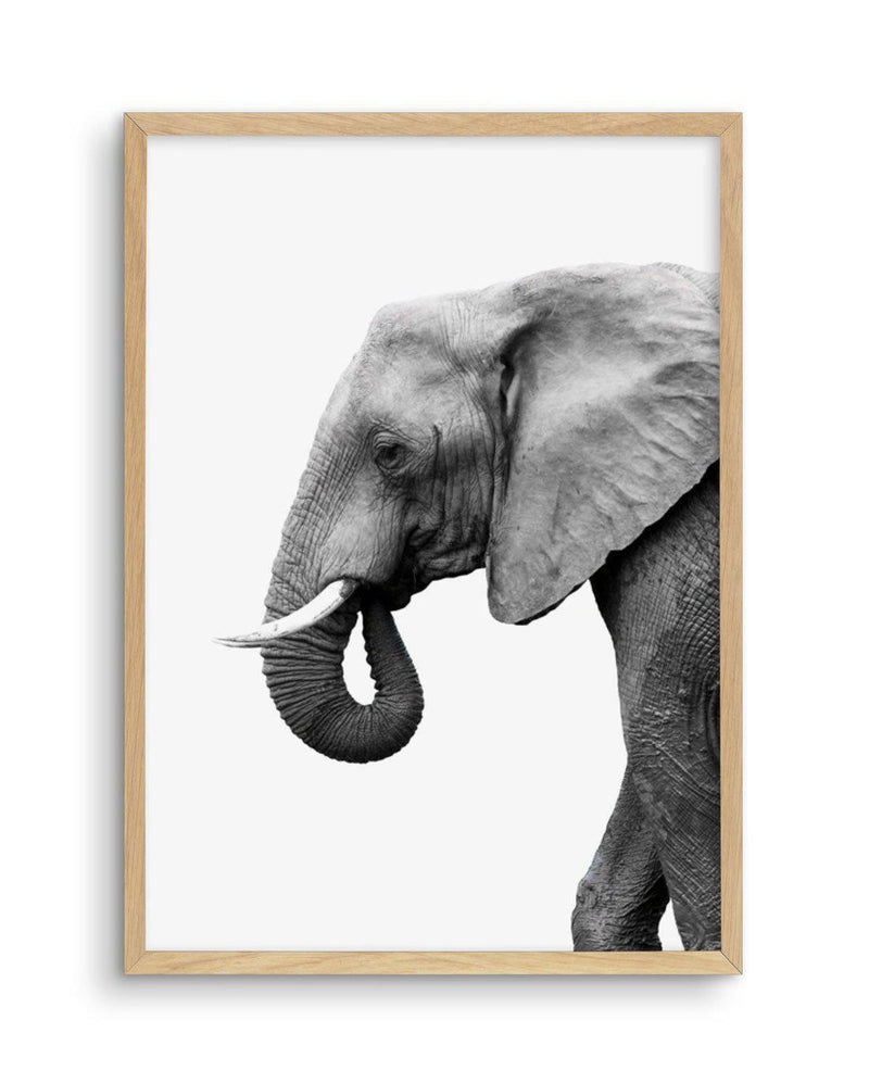 Elephant I Art Print-PRINT-Olive et Oriel-Olive et Oriel-A5 | 5.8" x 8.3" | 14.8 x 21cm-Oak-With White Border-Buy-Australian-Art-Prints-Online-with-Olive-et-Oriel-Your-Artwork-Specialists-Austrailia-Decorate-With-Coastal-Photo-Wall-Art-Prints-From-Our-Beach-House-Artwork-Collection-Fine-Poster-and-Framed-Artwork