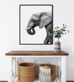 Elephant I Art Print-PRINT-Olive et Oriel-Olive et Oriel-Buy-Australian-Art-Prints-Online-with-Olive-et-Oriel-Your-Artwork-Specialists-Austrailia-Decorate-With-Coastal-Photo-Wall-Art-Prints-From-Our-Beach-House-Artwork-Collection-Fine-Poster-and-Framed-Artwork