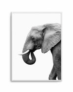 Elephant I Art Print-PRINT-Olive et Oriel-Olive et Oriel-A5 | 5.8" x 8.3" | 14.8 x 21cm-Unframed Art Print-With White Border-Buy-Australian-Art-Prints-Online-with-Olive-et-Oriel-Your-Artwork-Specialists-Austrailia-Decorate-With-Coastal-Photo-Wall-Art-Prints-From-Our-Beach-House-Artwork-Collection-Fine-Poster-and-Framed-Artwork