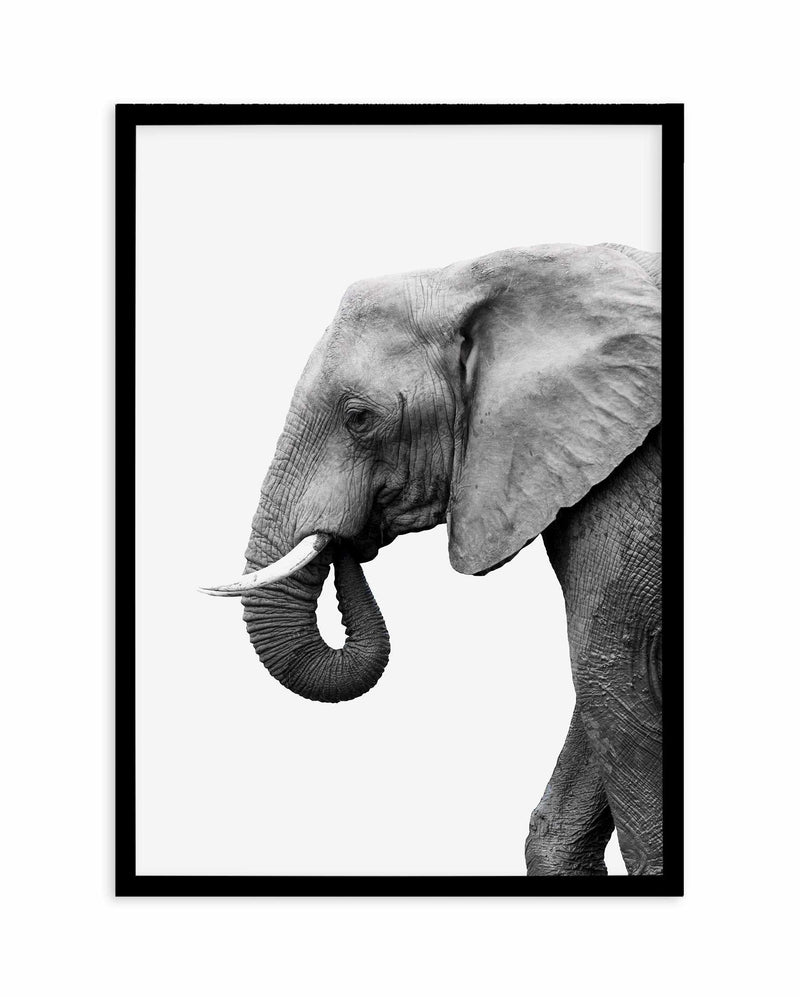 Elephant I Art Print-PRINT-Olive et Oriel-Olive et Oriel-A5 | 5.8" x 8.3" | 14.8 x 21cm-Black-With White Border-Buy-Australian-Art-Prints-Online-with-Olive-et-Oriel-Your-Artwork-Specialists-Austrailia-Decorate-With-Coastal-Photo-Wall-Art-Prints-From-Our-Beach-House-Artwork-Collection-Fine-Poster-and-Framed-Artwork